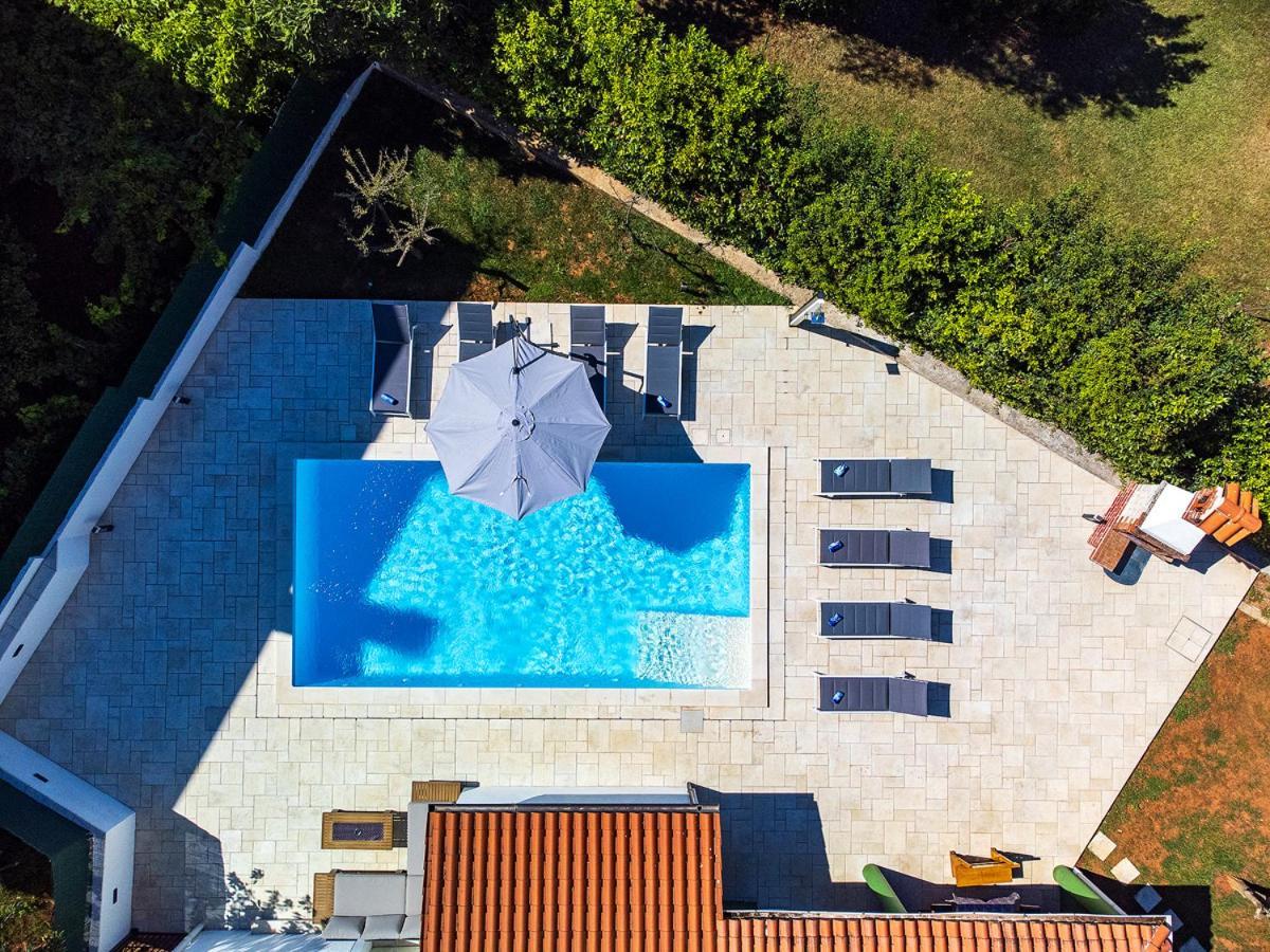 Big Swimming Pool Apartment Monvidal Пула Екстер'єр фото